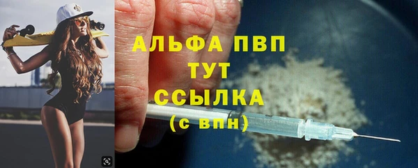 стаф Абинск