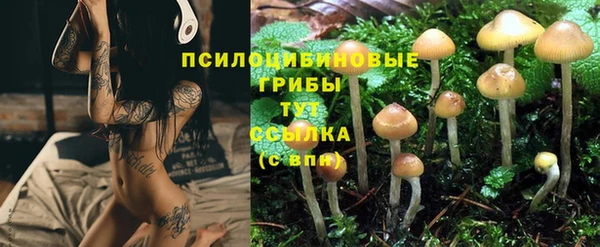 стаф Абинск