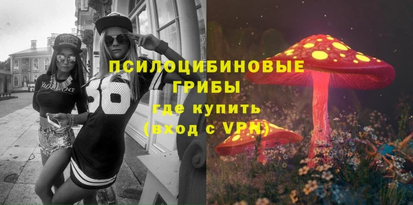 ГАЛЛЮЦИНОГЕННЫЕ ГРИБЫ Абдулино