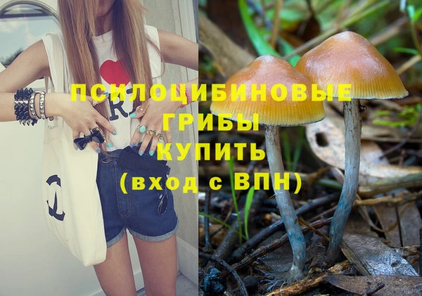 стаф Абинск